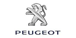 Peugeot servisi