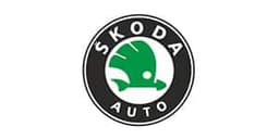 Skoda servisi
